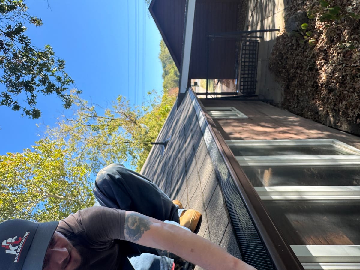 Gutter cleaning and maintenance